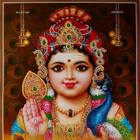 Vignesh Vignesh