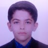 محمد مهدی