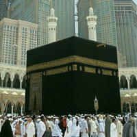 Alaa Basha