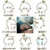 张思慧