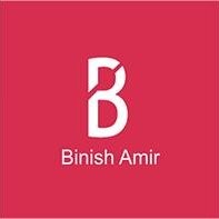 Binish Amir