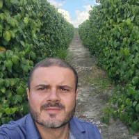 Alan Túlio