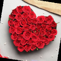 Anu Choudhary