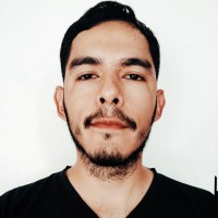 Diego Flores Aramayo