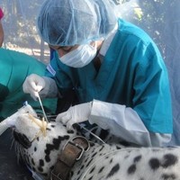 Fabiola Suárez Guzmán