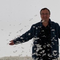 Armin Guerino