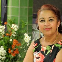 Calcídia E Silva