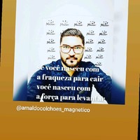 Jose arnaldo Camilo de sousa filho