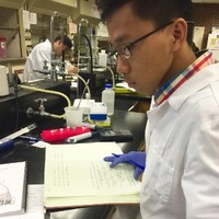 David Nguyen