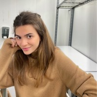 Anna Carolina De Almeida Pires Lancsarics