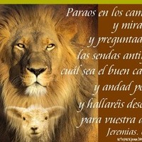 Edwin Alonso Solis Alvarado