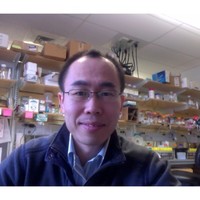 Tiezhong (Terry) Cui, Phd