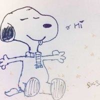 宋晓双