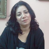 mona elameer