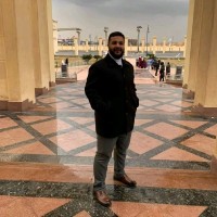 Mohamed Elkholy