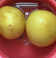 林丽纯