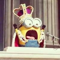 Bob Minion