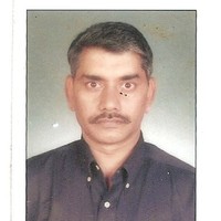 Arvind Sir Tulip