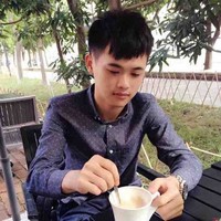 何子龙