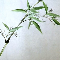 Tong Qian