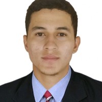nelson david gamez castro