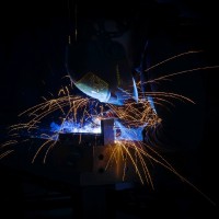 Andries van de Velde