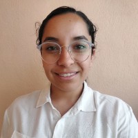 Ana Del Carmen Celaya Ramírez