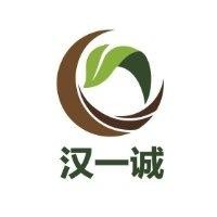 李文汉