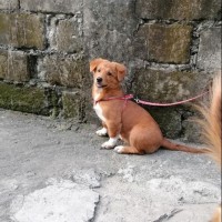 Ghelay Gonzales