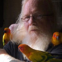 Bob Groh