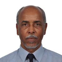 Nasereddin Shaebelain