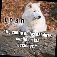 Felipe Rosado