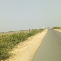 Dev Saini