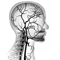 Eric Buckner Winfield