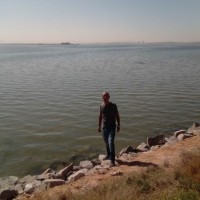Samir Arfaoui