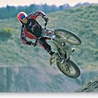 Steve Grindle