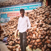 Bhavesh Rabari