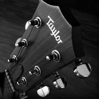 Taylor Guitars Bajio
