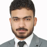Ameer Adel