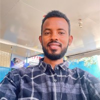 Bashir Hussein