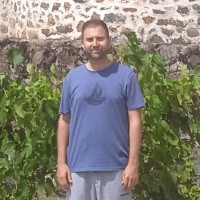Goran Mikić