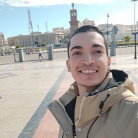 Hossam Elgmmal