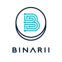Binarii Automation Engineering