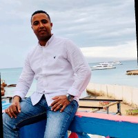 محمود حسنى