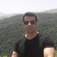 Mohammad Memari
