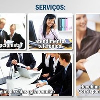 Analice Virtual Business
