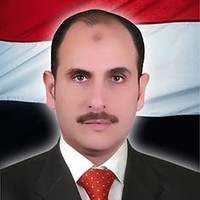 Mohamed Abdelhady
