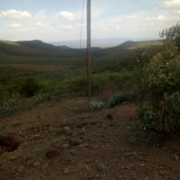 Daniel Tauta Ndinini