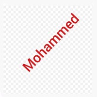 Hafiz Mohammed (Mba)