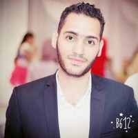 Housam Elborai